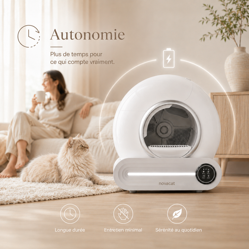 Nettoyage automatique